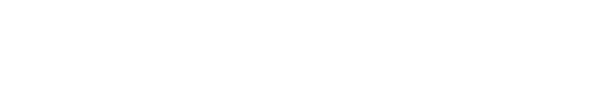 logo-dao-xuan-nhat